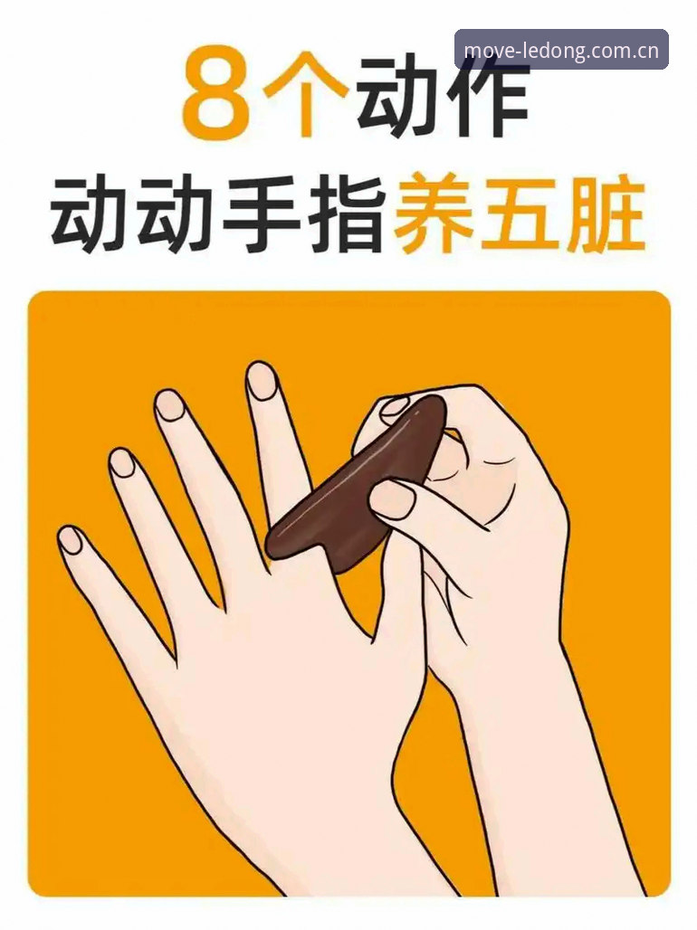 乐动体育操作 乐动体育操作最新动态:新手快速上手指南与实用技巧全解析